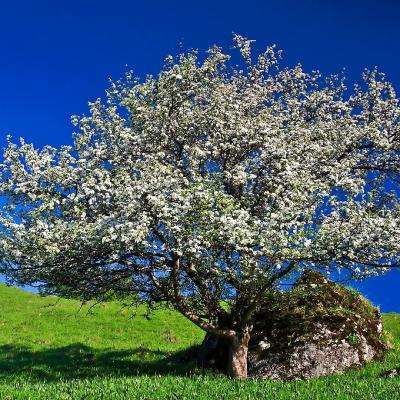 博鱼app体育官方正版下载截图